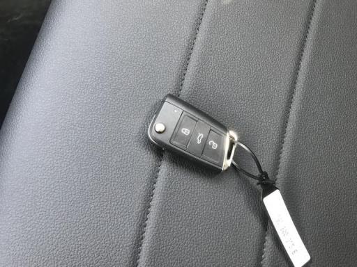 一见倾心 入手宝来家人很支持
