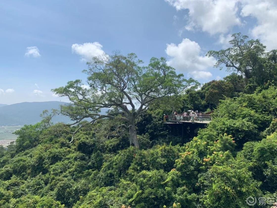 #传祺故事#两千公里醉美沿海公路，海滨时光共享岁月静好
