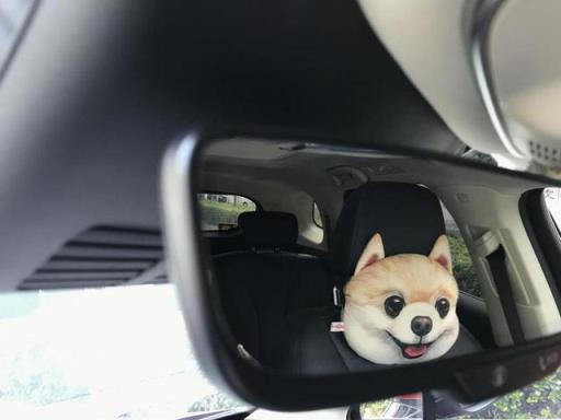 怦然心动 分享比亚迪唐”提车