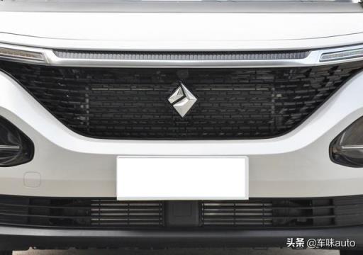 纠结半天，最后还是选了它——高颜大空间，10万预算，全家喜爱