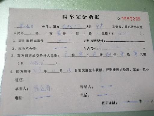 一见倾心 入手宝来家人很支持