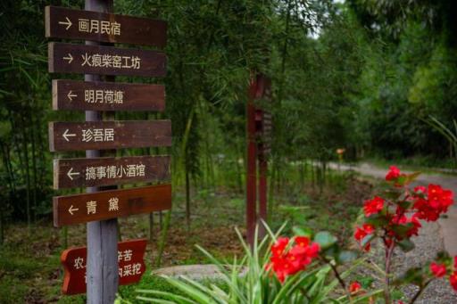 携宋pro跨越蜿蜒山路，带朋友打卡网红明月村