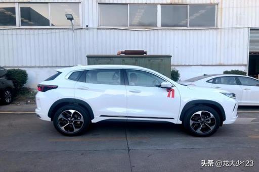 星途LX 2019款 1.6T 星睿版，车主：提车一个月后的体验感受