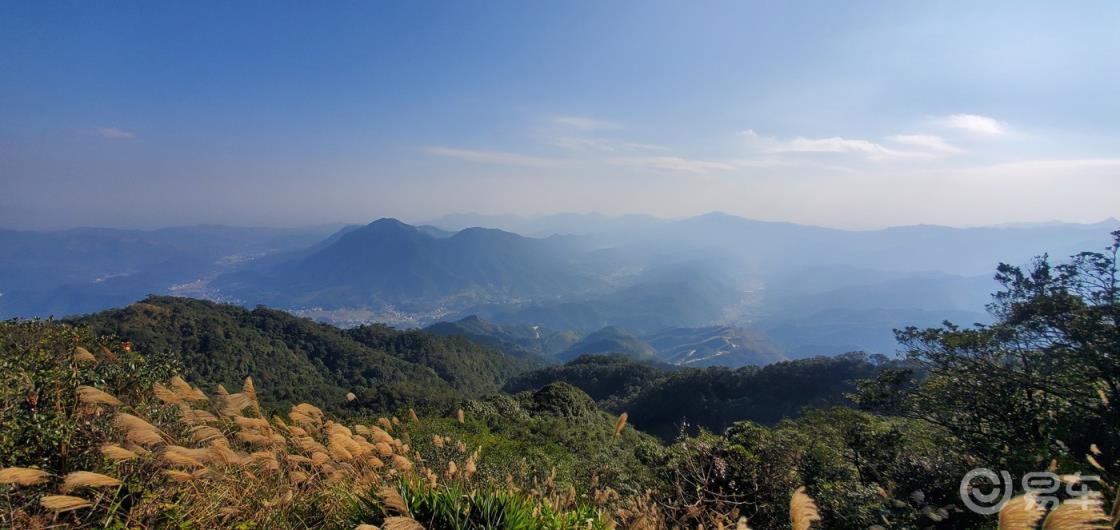 #传祺故事# 一辆车的旅途2：我，风车和狗（下）