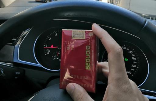 喜提迈腾一周年，谈谈我的感受：低调务实，B级车王者