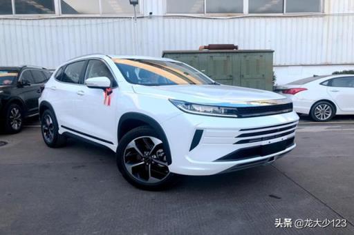 星途LX 2019款 1.6T 星睿版，车主：提车一个月后的体验感受