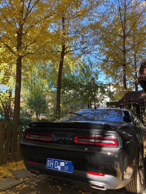 不许超速，不许扰民，我这台道奇挑战者该怎么开？