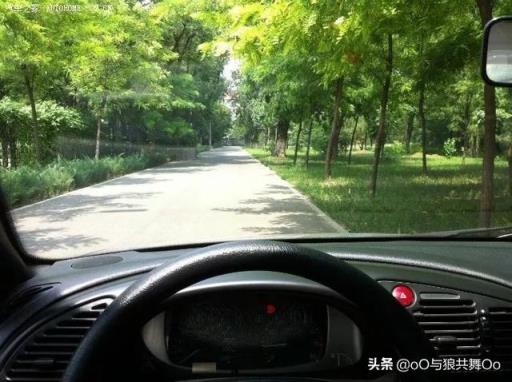 9年老友爱丽舍，你是我的真爱