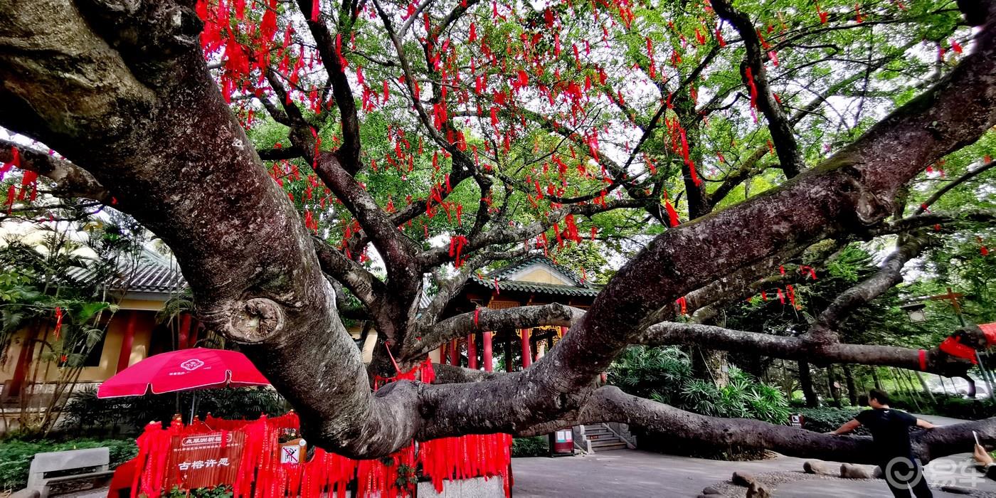 【广东深度游7】惠州西湖名胜风景区-古色古香亭台楼阁
