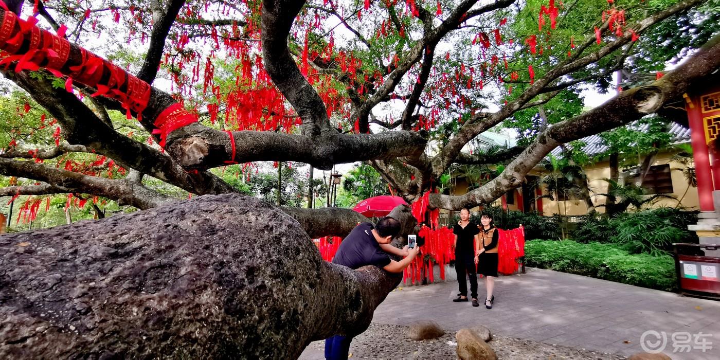 【广东深度游7】惠州西湖名胜风景区-古色古香亭台楼阁