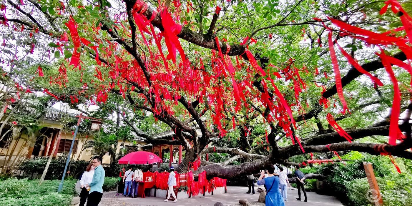 【广东深度游7】惠州西湖名胜风景区-古色古香亭台楼阁