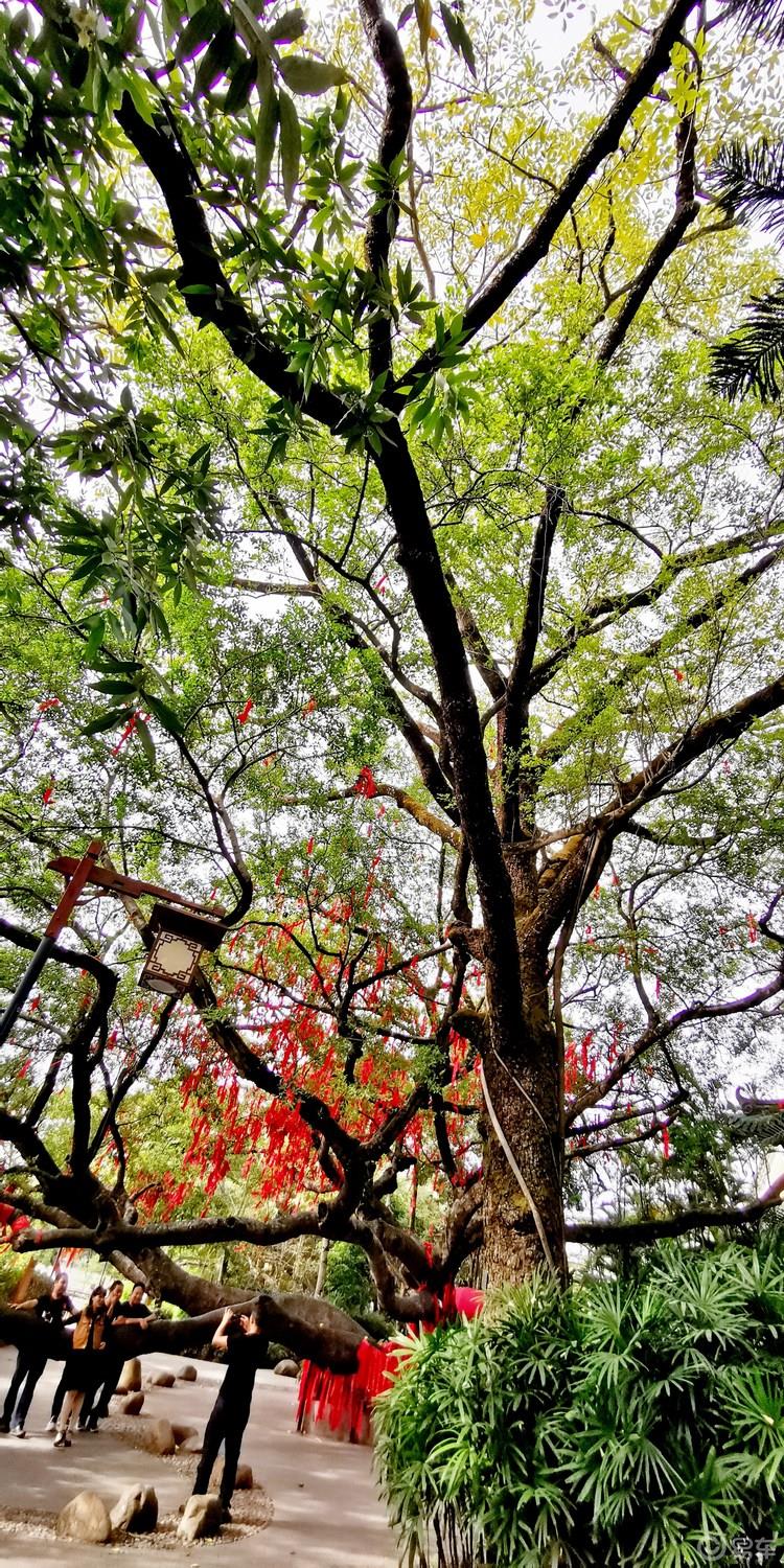 【广东深度游7】惠州西湖名胜风景区-古色古香亭台楼阁