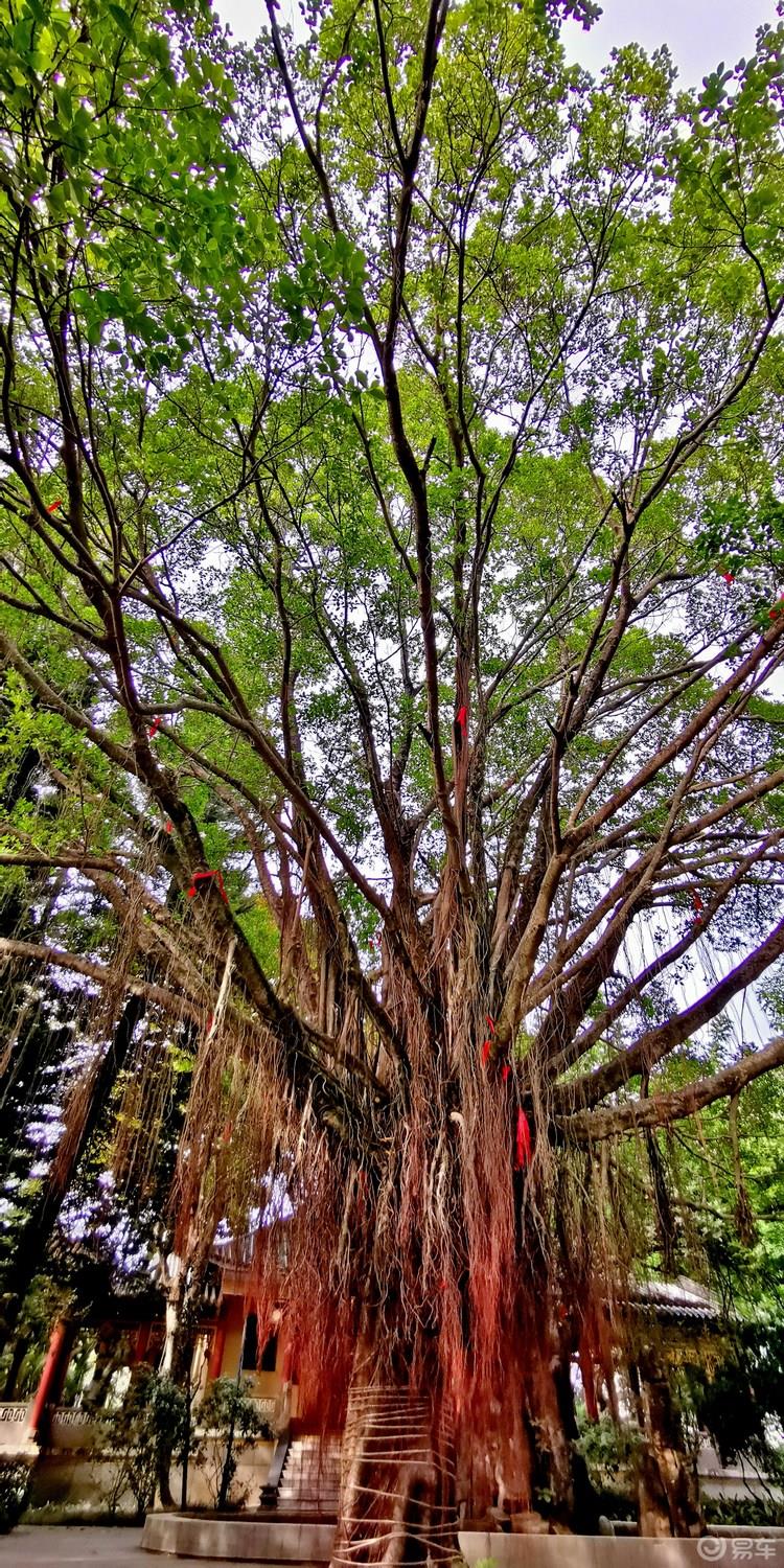 【广东深度游7】惠州西湖名胜风景区-古色古香亭台楼阁