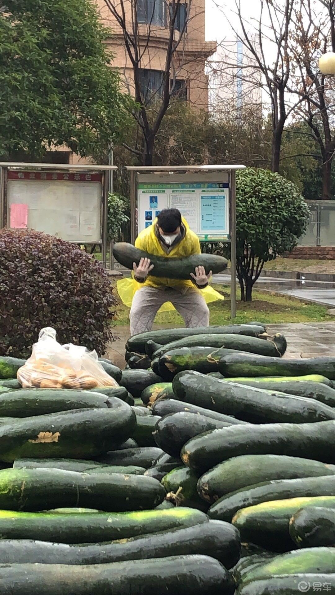 【春节花式宅】武汉加油！