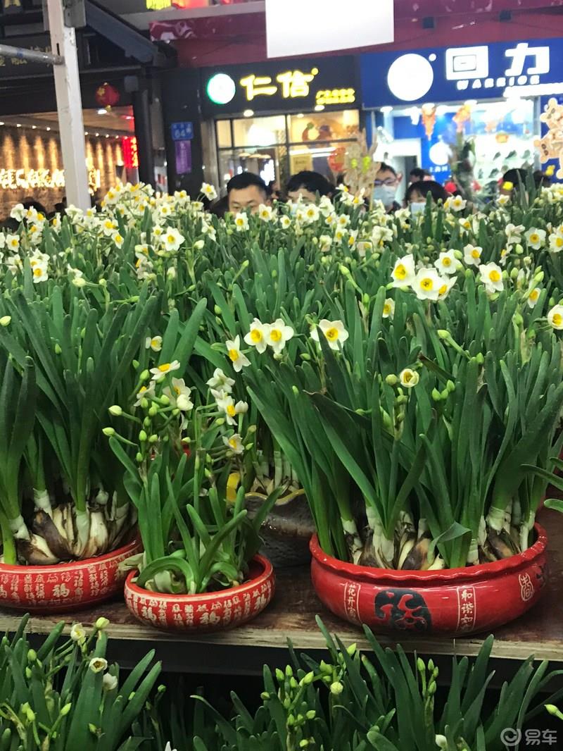 2020年春节澳门潮州自驾游