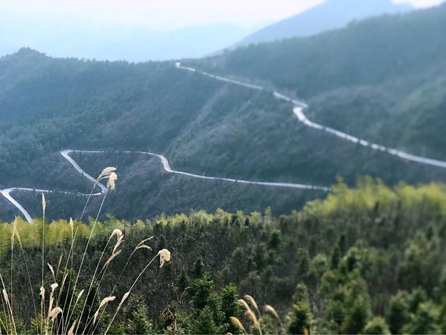 奥迪Q5L登高望远，负重1400斤返城，用车感受。