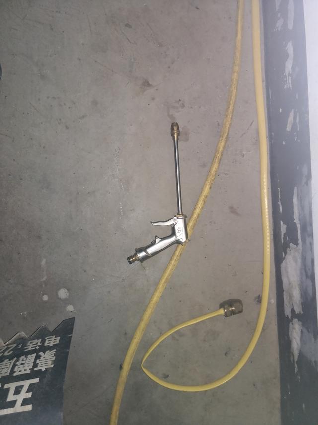 亚洲龙随记