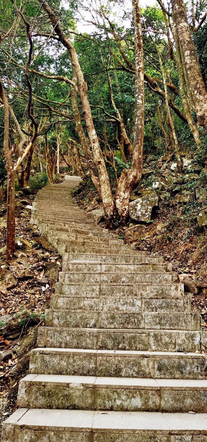 【东莞银屏山】东莞第一峰的美丽风光
