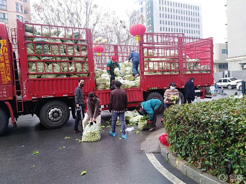 暖心菜过后迎来武汉的第一场雪