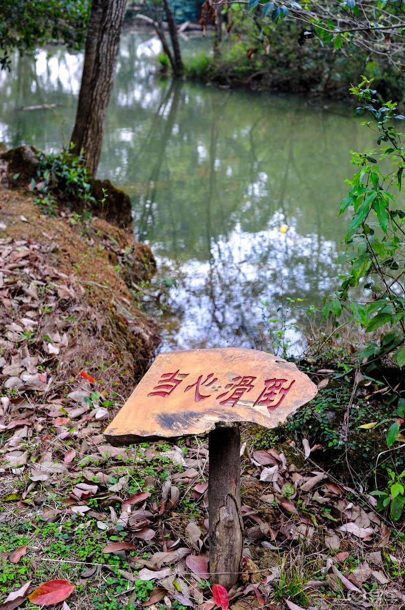 #高尔夫女神#【高尔夫带我走进最美乡村之黄竹村】