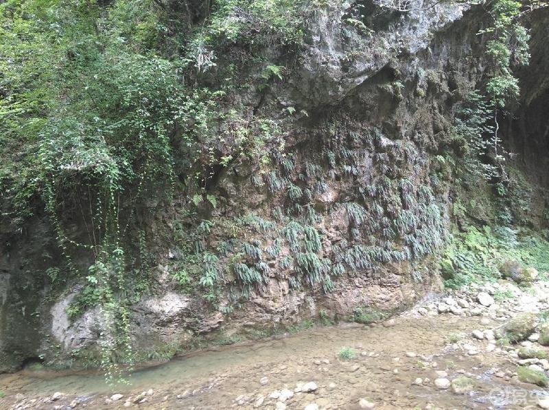 【易起鲨向未来】  秦巴山中世外桃源～中坝大峡谷
