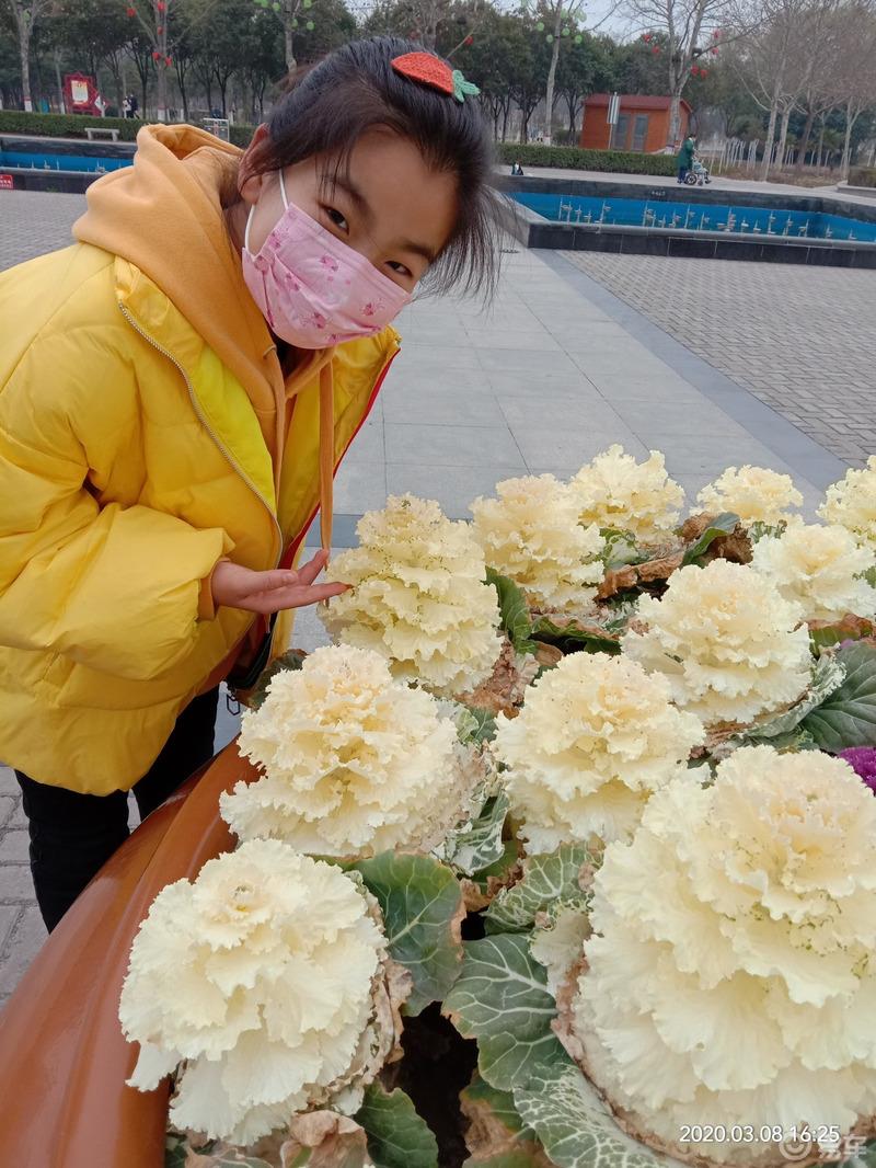 【女神节】我心中的小“女神”?