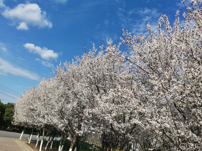 3.8爱车分享日  有胡8后的生活