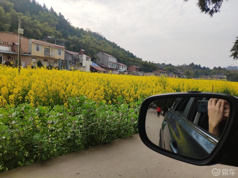 3.8爱车分享日 我的虎8我很满意