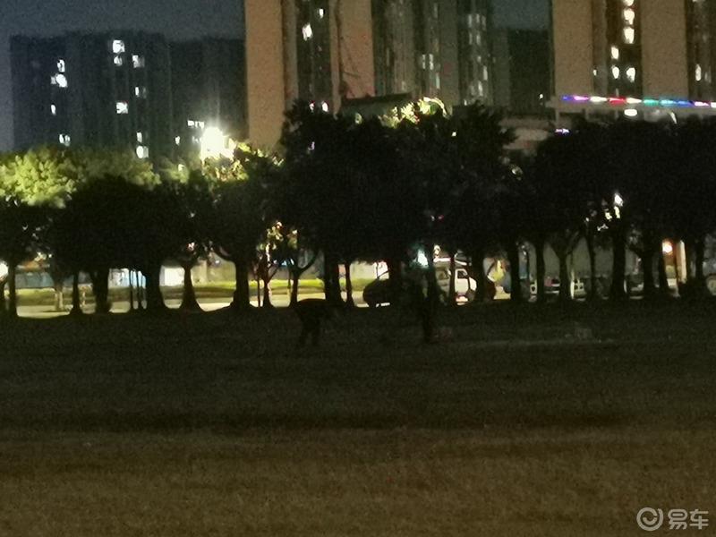 【3.8爱车分享日】浪漫的车友求婚记