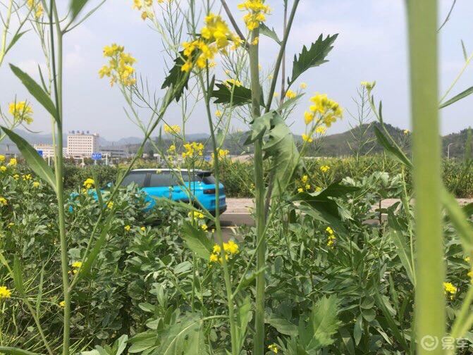 众里寻他千百度，吉利ICON提车作业来了～