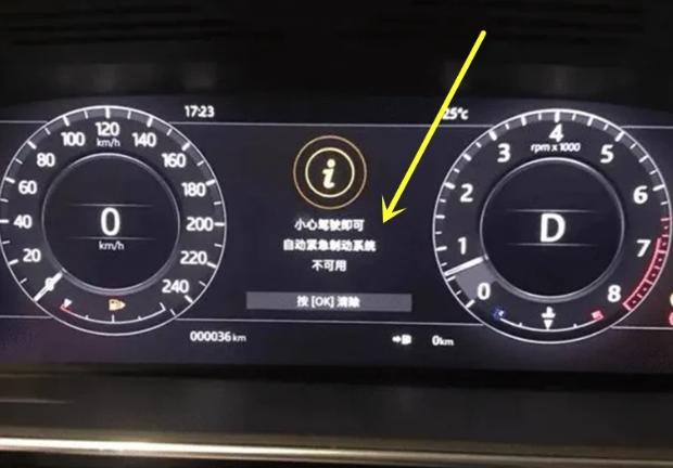 男子喜提百万路虎，刚出4S店仪表盘多了行字，网友：恭喜入坑路虎