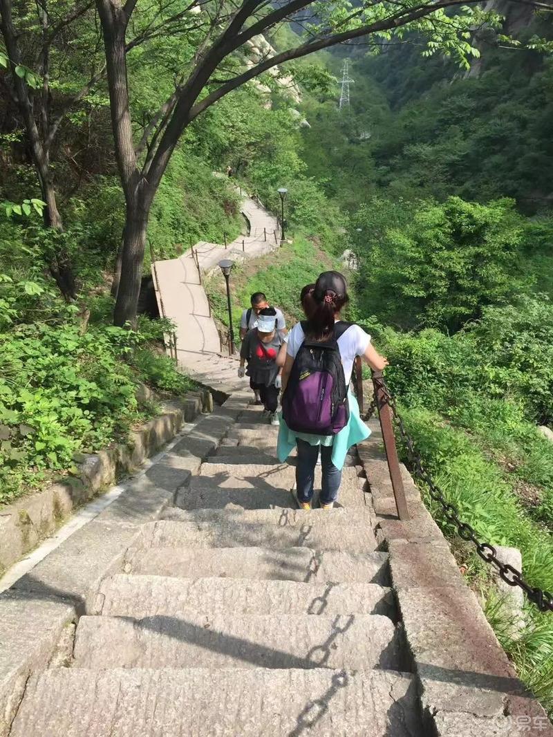 小姐姐来喽之华山