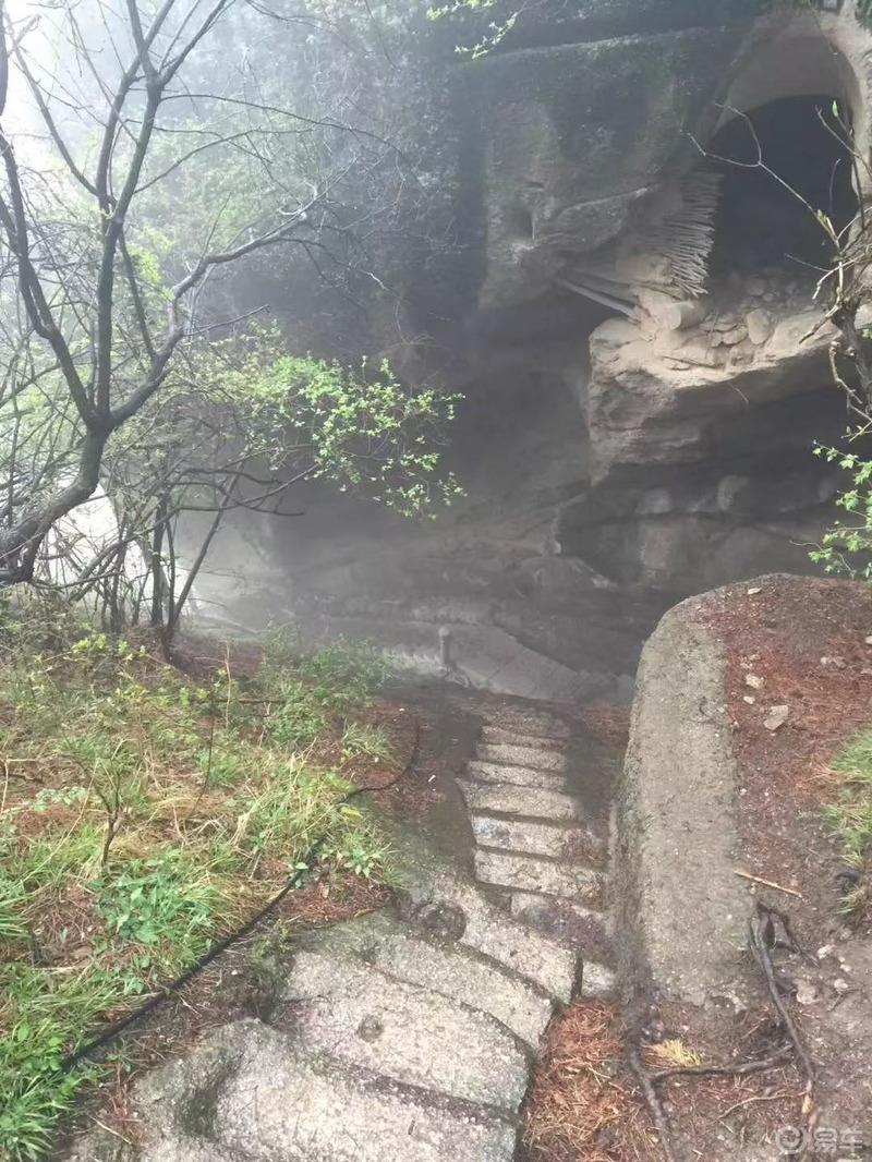 小姐姐来喽之华山