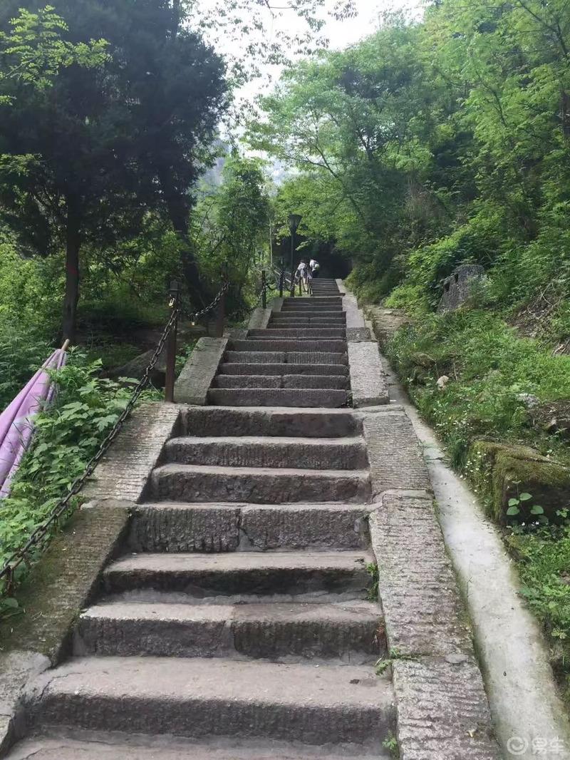 小姐姐来喽之华山