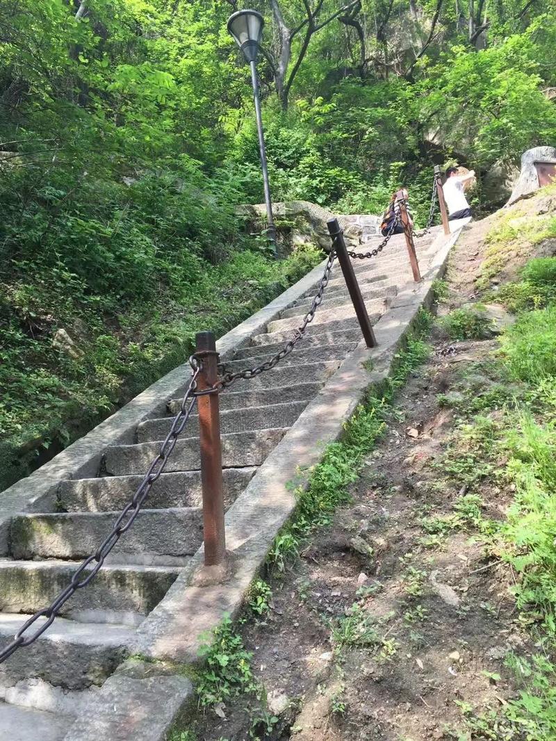 小姐姐来喽之华山