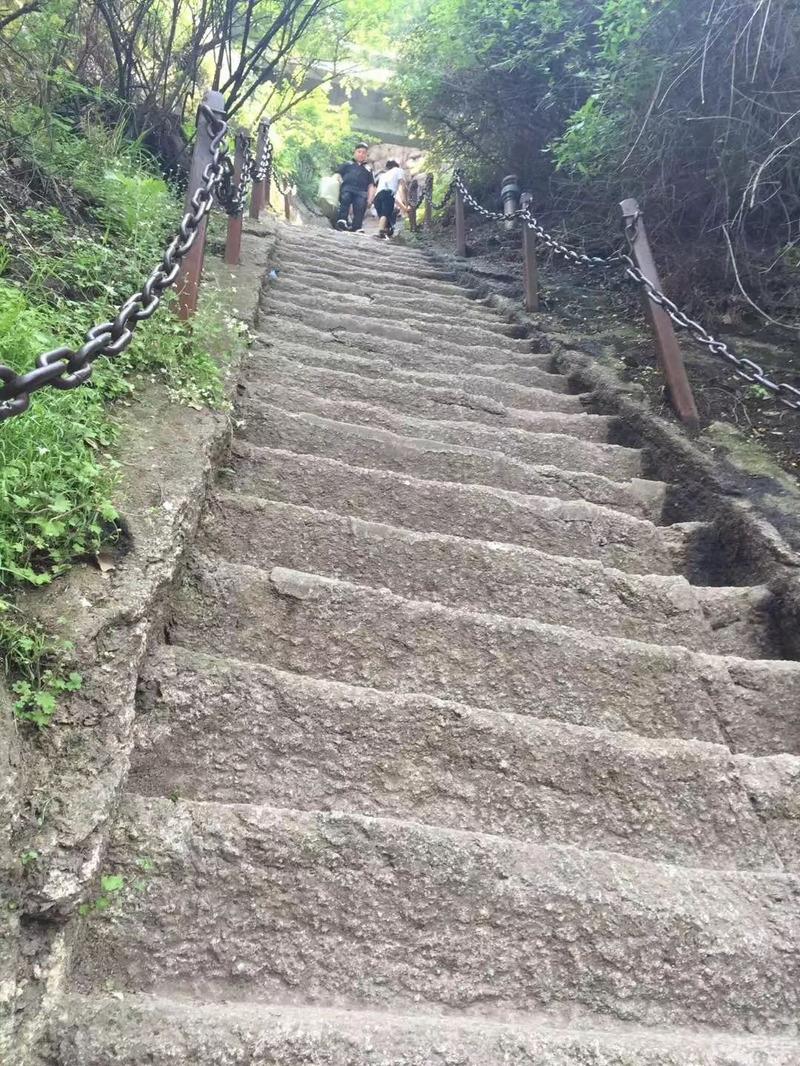 小姐姐来喽之华山