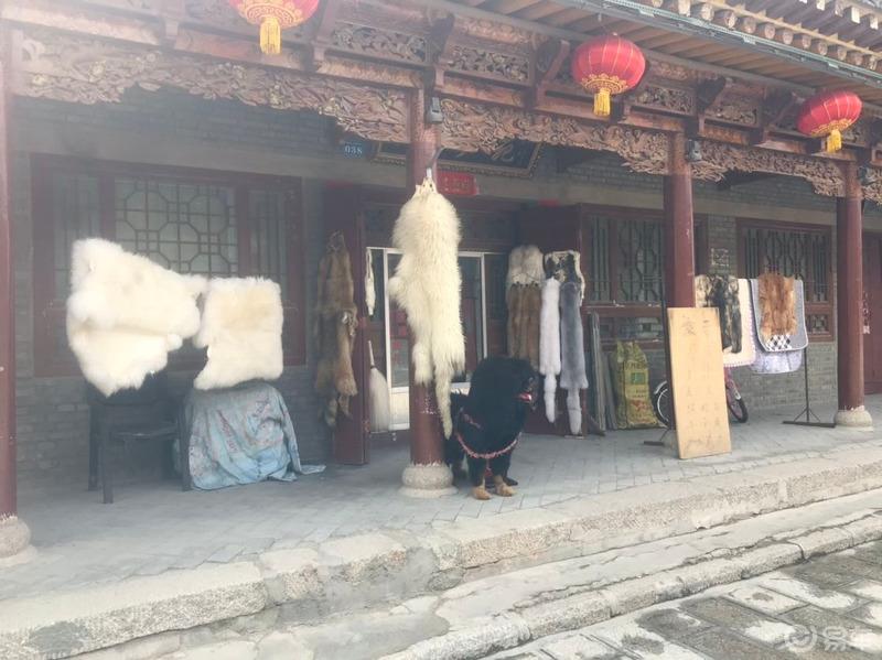 重游丹葛尔古城