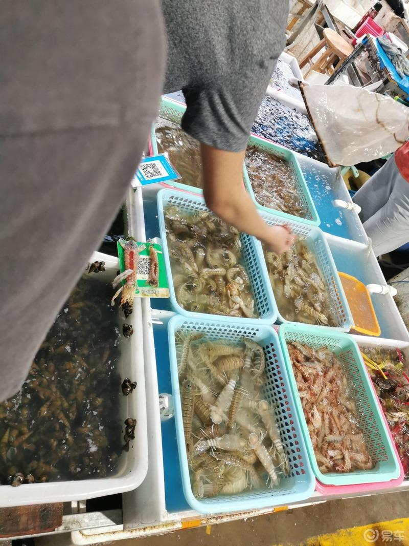 祺友会--说走就走的南沙十四涌海鲜大餐