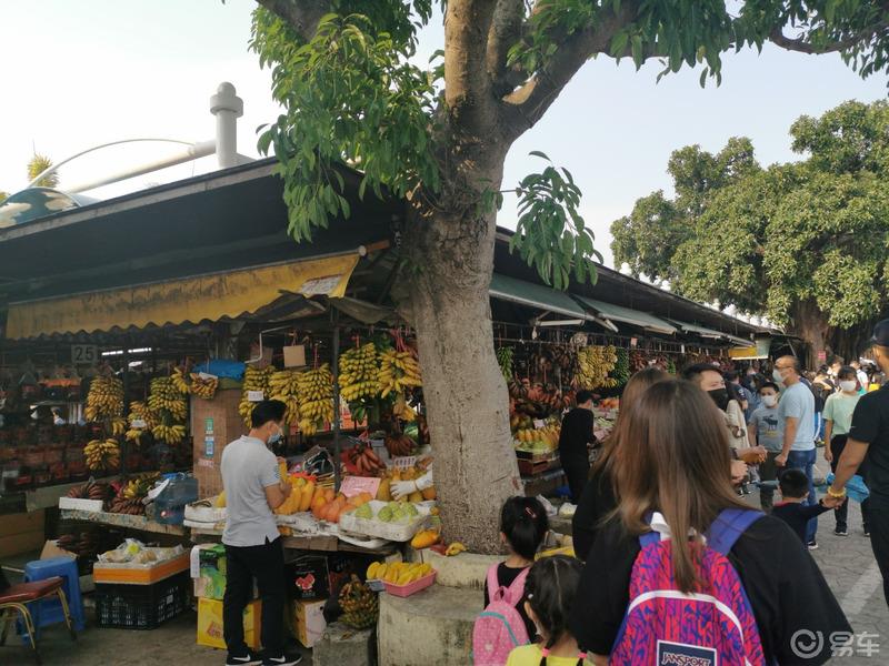 祺友会--说走就走的南沙十四涌海鲜大餐