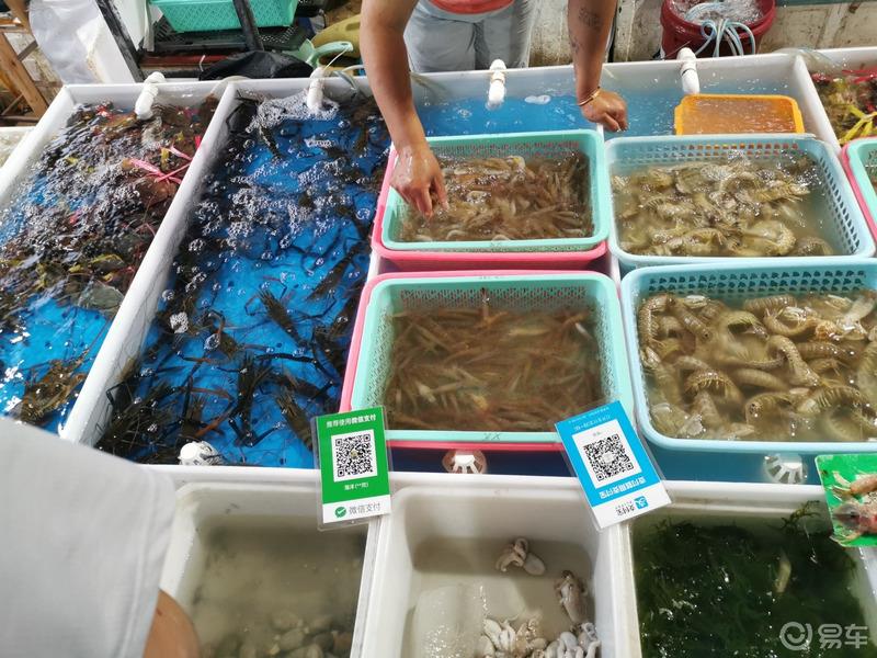 祺友会--说走就走的南沙十四涌海鲜大餐
