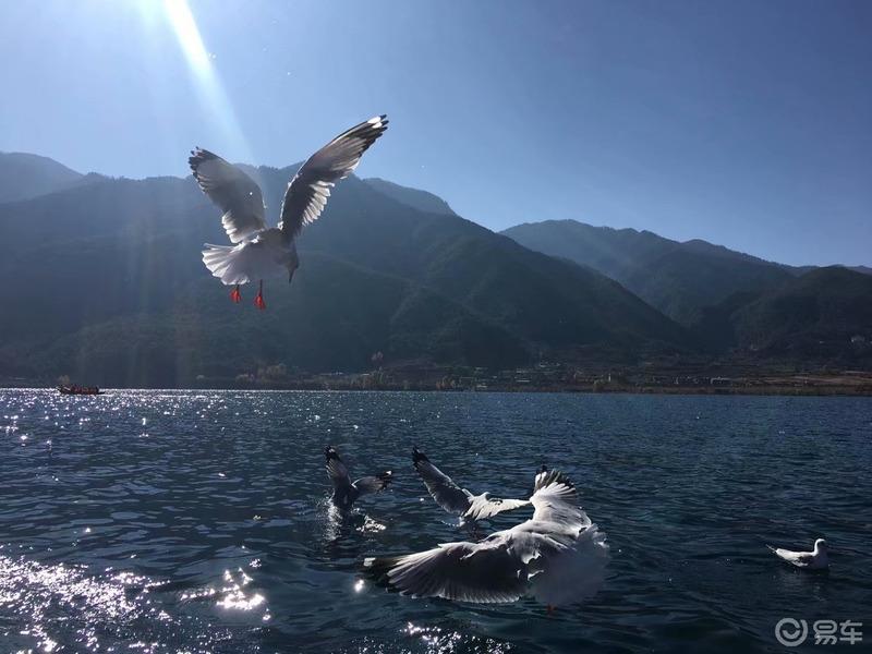 【迈腾游记】心的旅行，“艳遇”之都——丽江