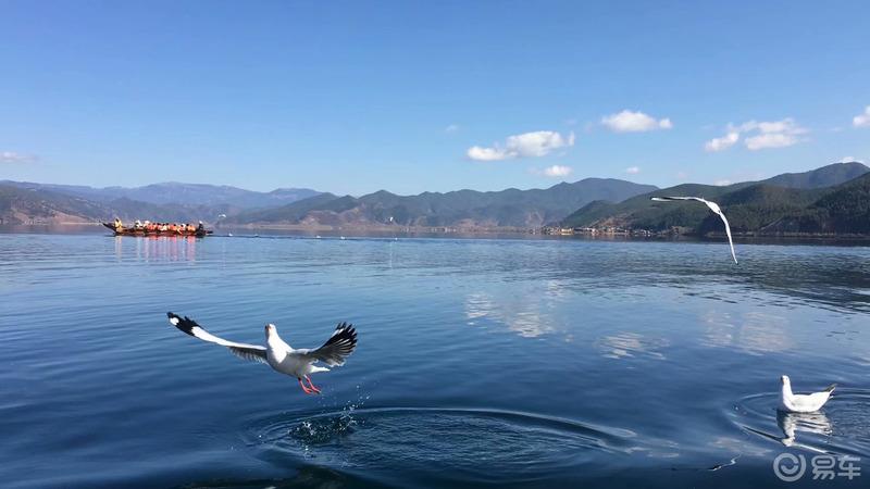 【迈腾游记】心的旅行，“艳遇”之都——丽江
