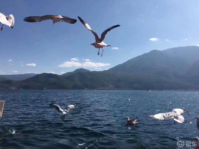 【迈腾游记】心的旅行，“艳遇”之都——丽江