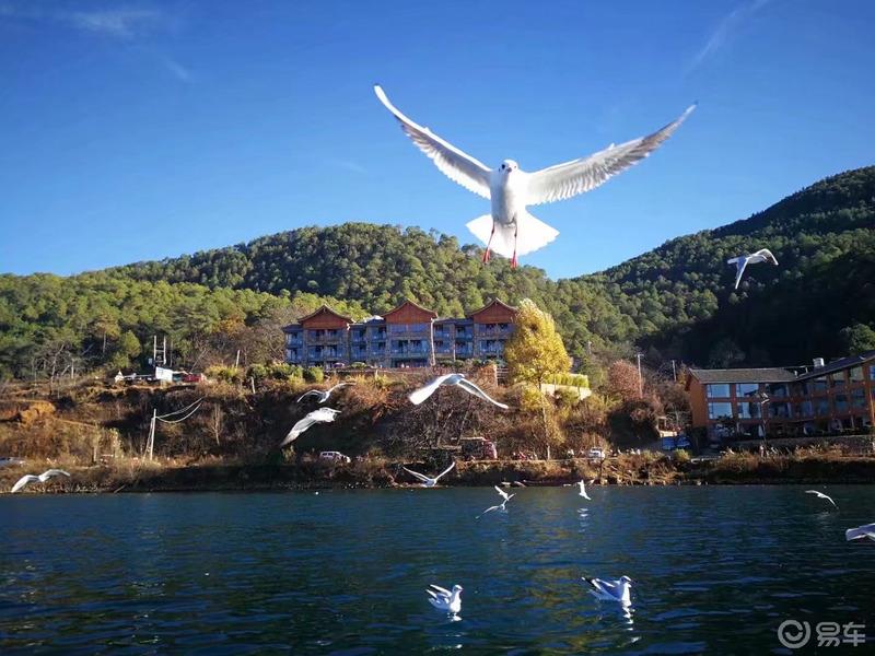 【迈腾游记】去大理，寻一场风花雪月的浪漫