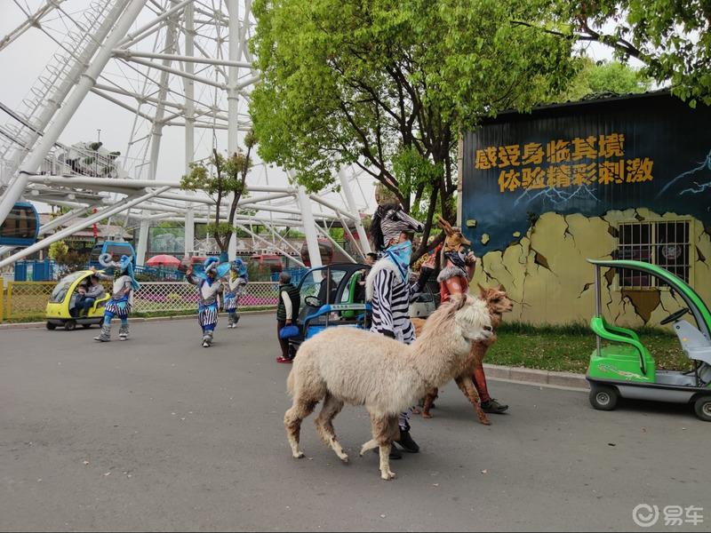 【云端曼步】江苏淹城动物园走起！