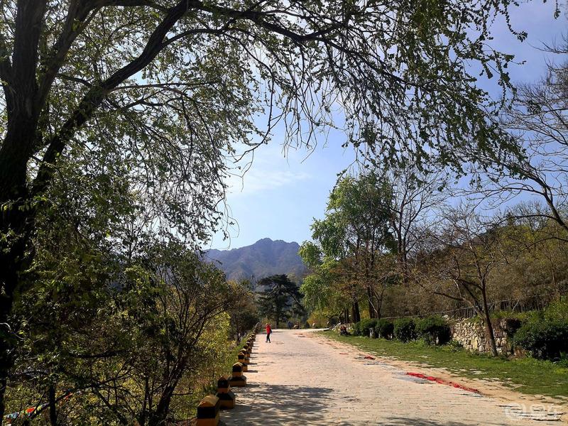 惠民政策来享受，响应号召不出市，秦岭山中好风光，防疫旅游两不误。