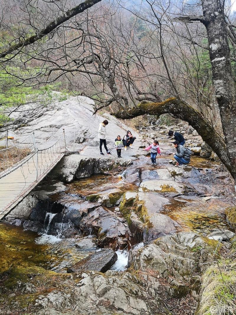 惠民政策来享受，响应号召不出市，秦岭山中好风光，防疫旅游两不误。