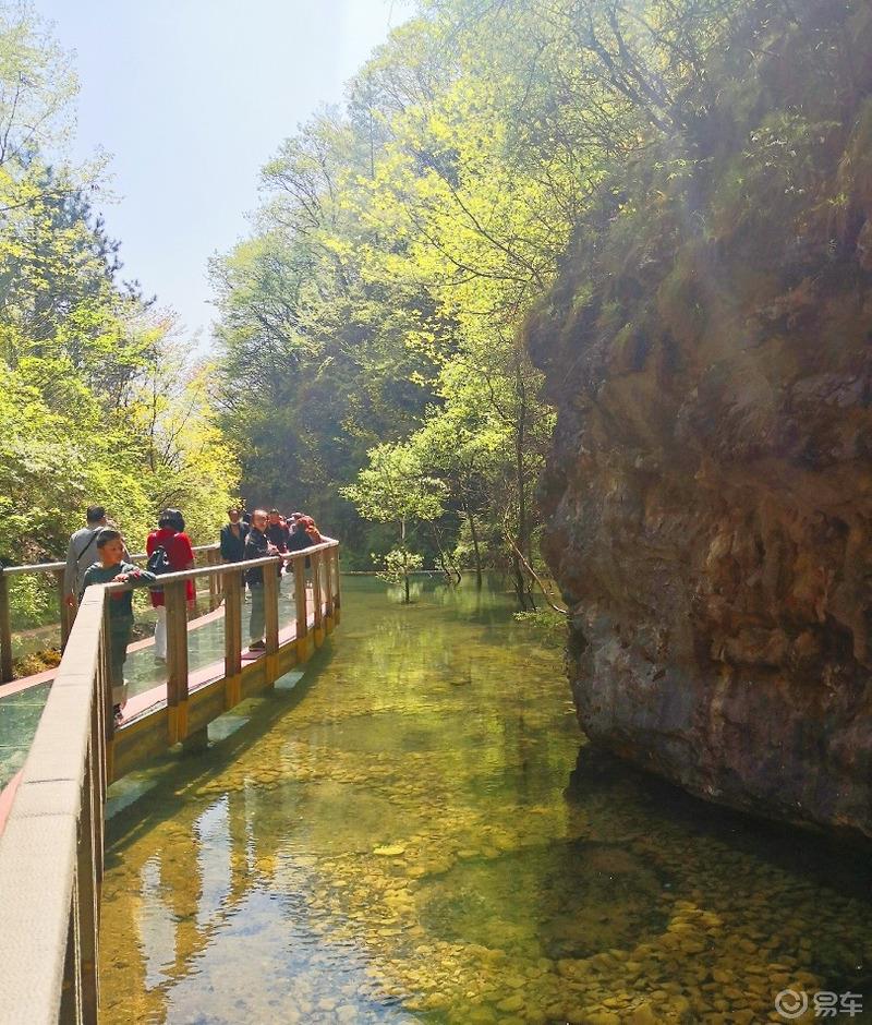 惠民政策来享受，响应号召不出市，秦岭山中好风光，防疫旅游两不误。