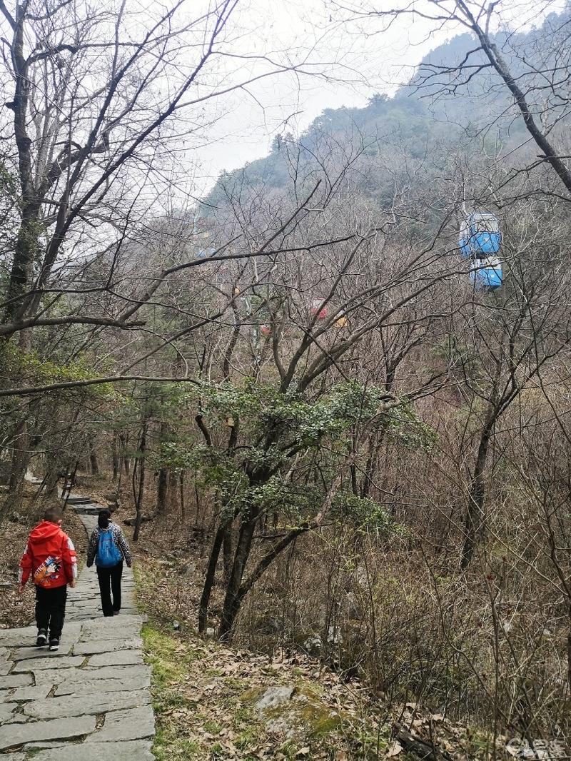 惠民政策来享受，响应号召不出市，秦岭山中好风光，防疫旅游两不误。