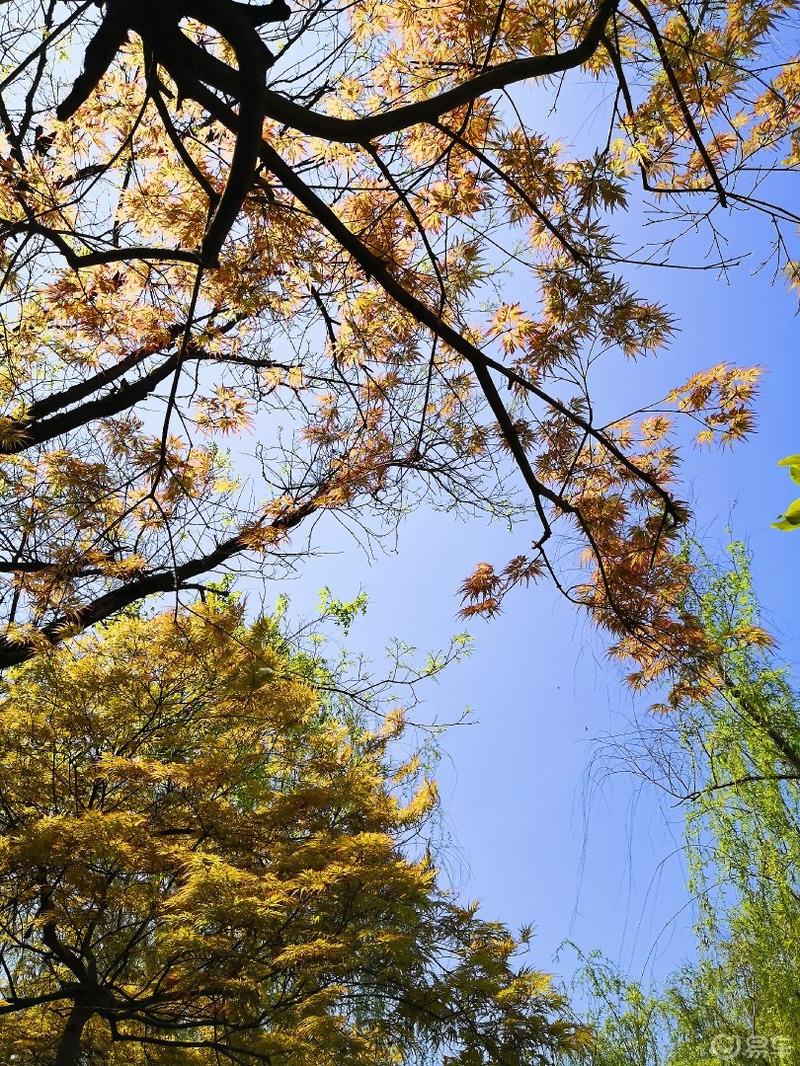 惠民政策来享受，响应号召不出市，秦岭山中好风光，防疫旅游两不误。